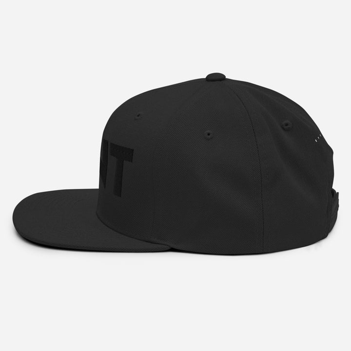 EFFENTII - EFNT Embroidered Men's Snapback Cap